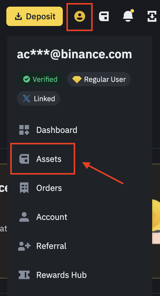 Binance App Interface